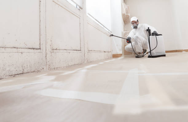 24/7 Emergency Mold Remediation experts in Rockville, MD